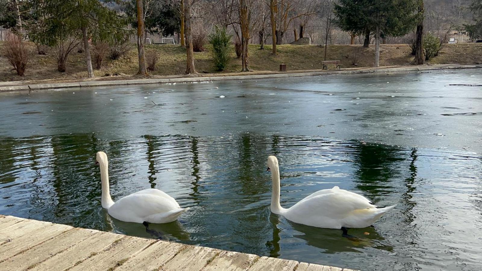 Osséja Apartament Del Llac מראה חיצוני תמונה